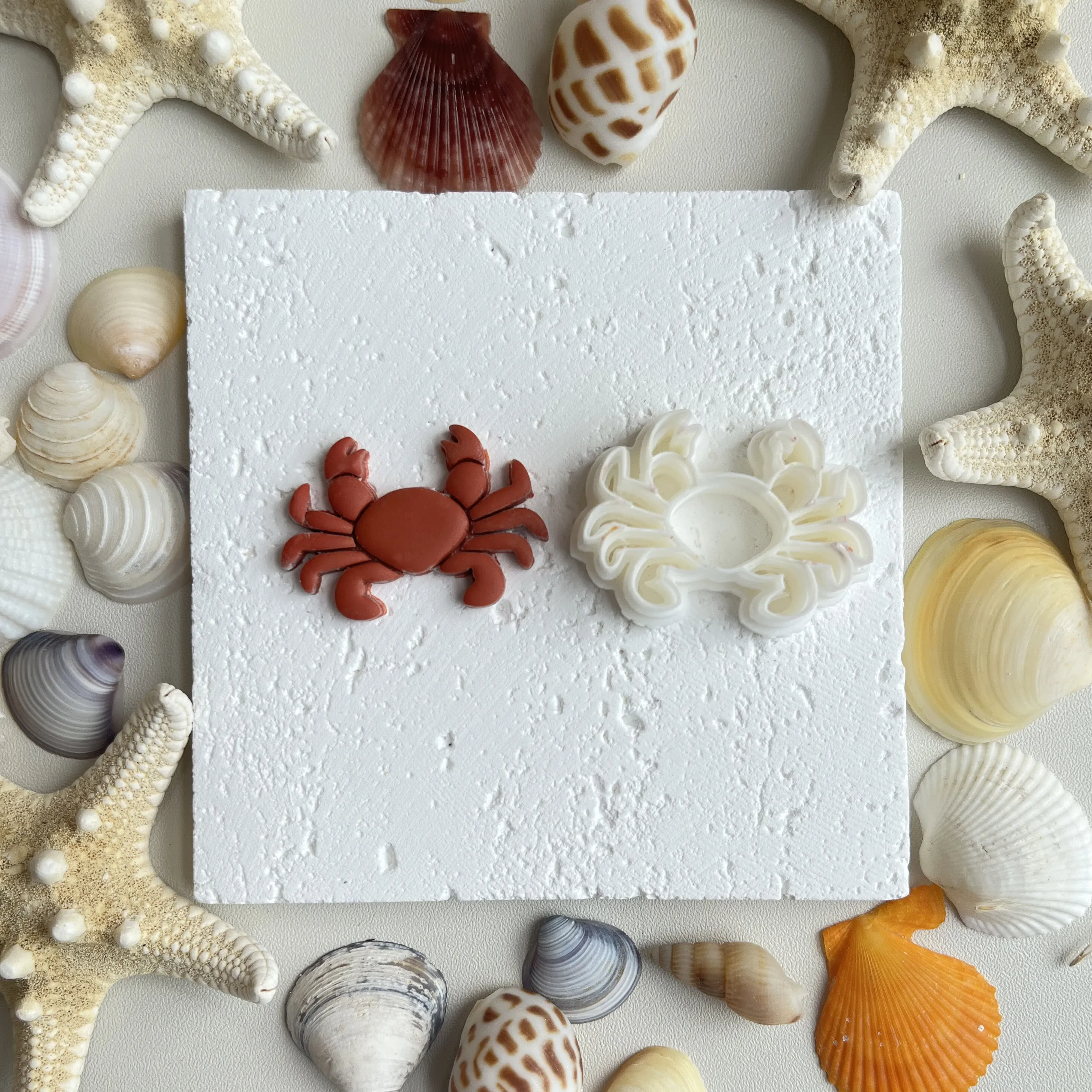 Ocean Creature Clay Molds 6