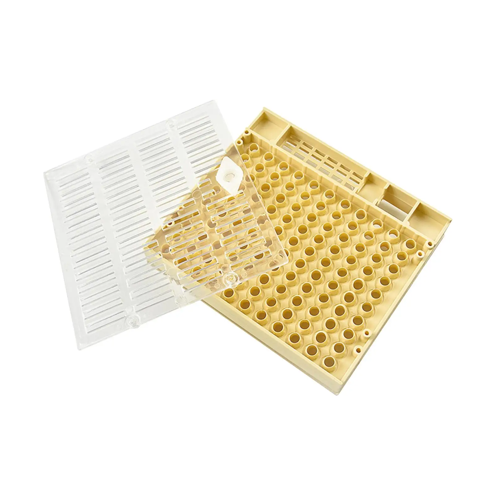 Queen Rearing Box Beekeeping Queen Bee Rearing Grafting Set for Beekeepers