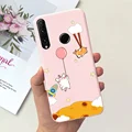 Case-c43