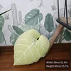 plant-pillow-g