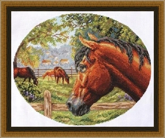 

Набор для вышивки крестиком Panna J-1237 horse 44-37, Набор для вышивки крестиком из холщовой ткани Aida 14CT 14CT, декор для гостиной