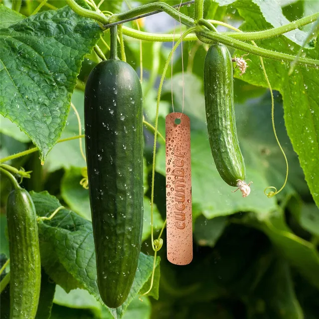 10Db Réz Növényi Címkék Hosszú Rézkerti Újrafelhasználható Növényfák Címkéi Kertészeti Növényekhez - Image 3