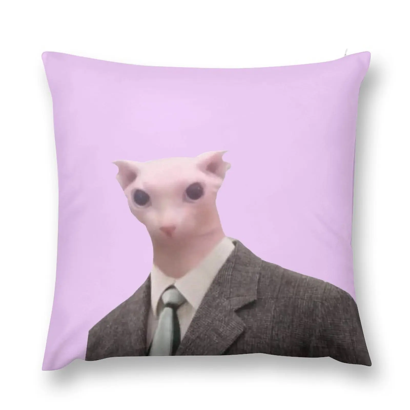 

office bingus Throw Pillow Pillow Covers Decorative Pillowcases Bed Cushions