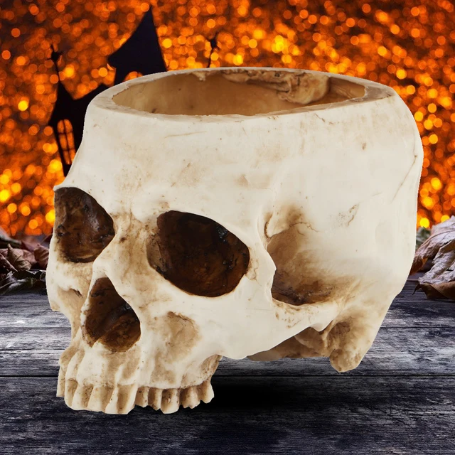 Tixiyu Pot De Fleurs En Résine En Forme De Tête De Mort - Pot De Fleurs Gothique Pour Plantes Grasses - Décoration Pour La Maison Et Le Bureau