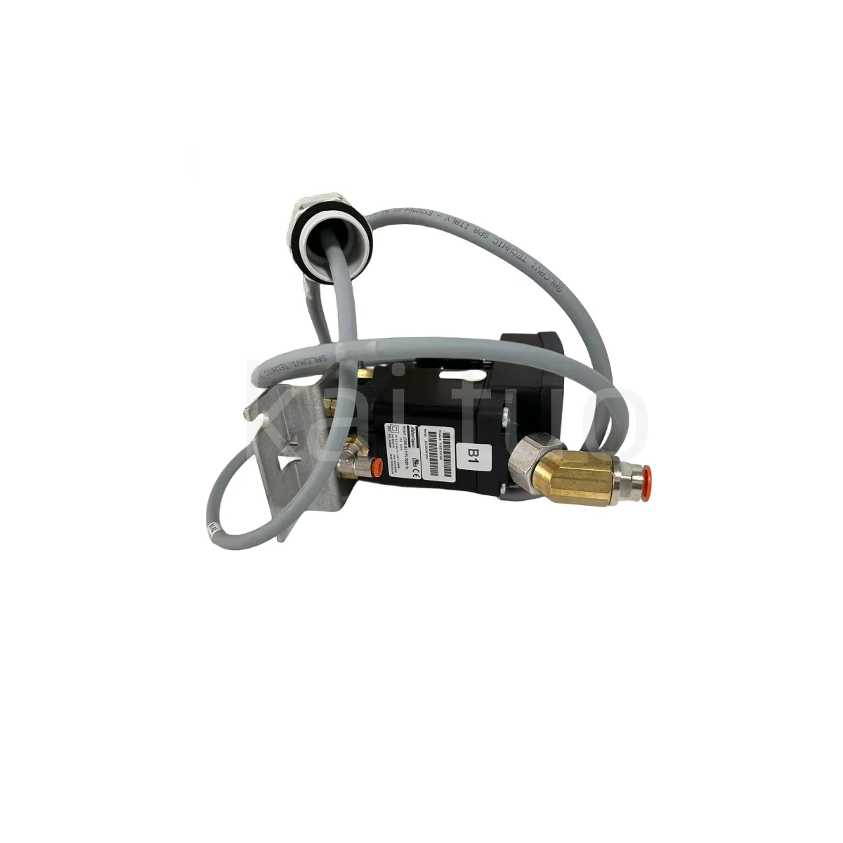 S2fa6889d56284234bf7eb69ef1a6e