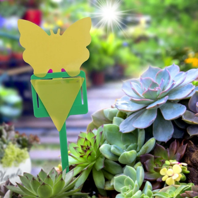 10 Darabos Ragadós Rovarlemez Gyümölcslégy Szúnyog Csapdák Erős Kétoldalas Sárga Ragacsos Növényi Virágok Cserepes Matrica Címkék - Image 6