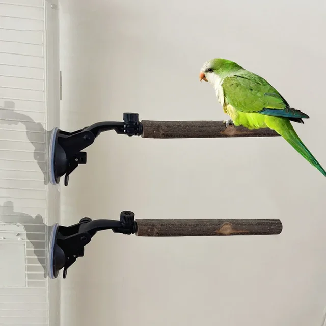 Wood Parrot Perch Prevent Slip Interactive Bird Window Perch Stand With Suction Cups For Small Medium Bird 1