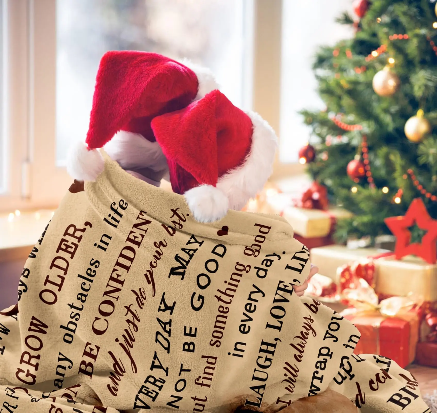 �Ƶ� ���� ���, ���� �ƺ� ����, �Ƶ� ���� ���, �� ������, ���� ����