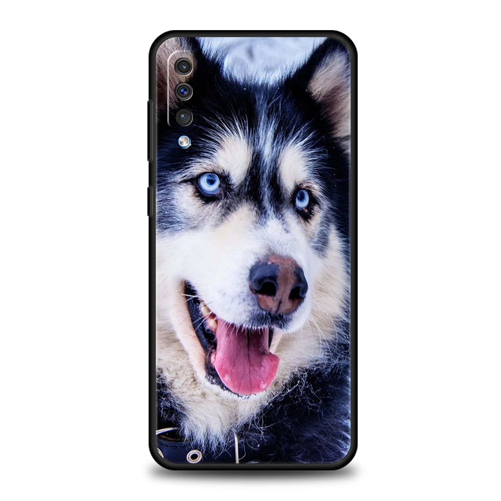 Siberian Husky Sled Dog Handyhülle für Samsung Galaxy A24 A13 A53 A73 A33 A22 A12 5G A02 A03 A70 A50 A10 A20 A30 Silikonhülle – Detail 1