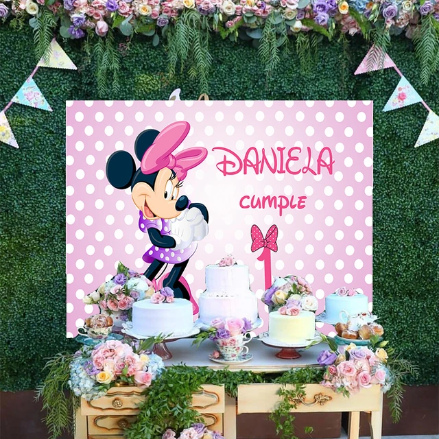 baby mickey mouse and minnie mouse 1st birthday