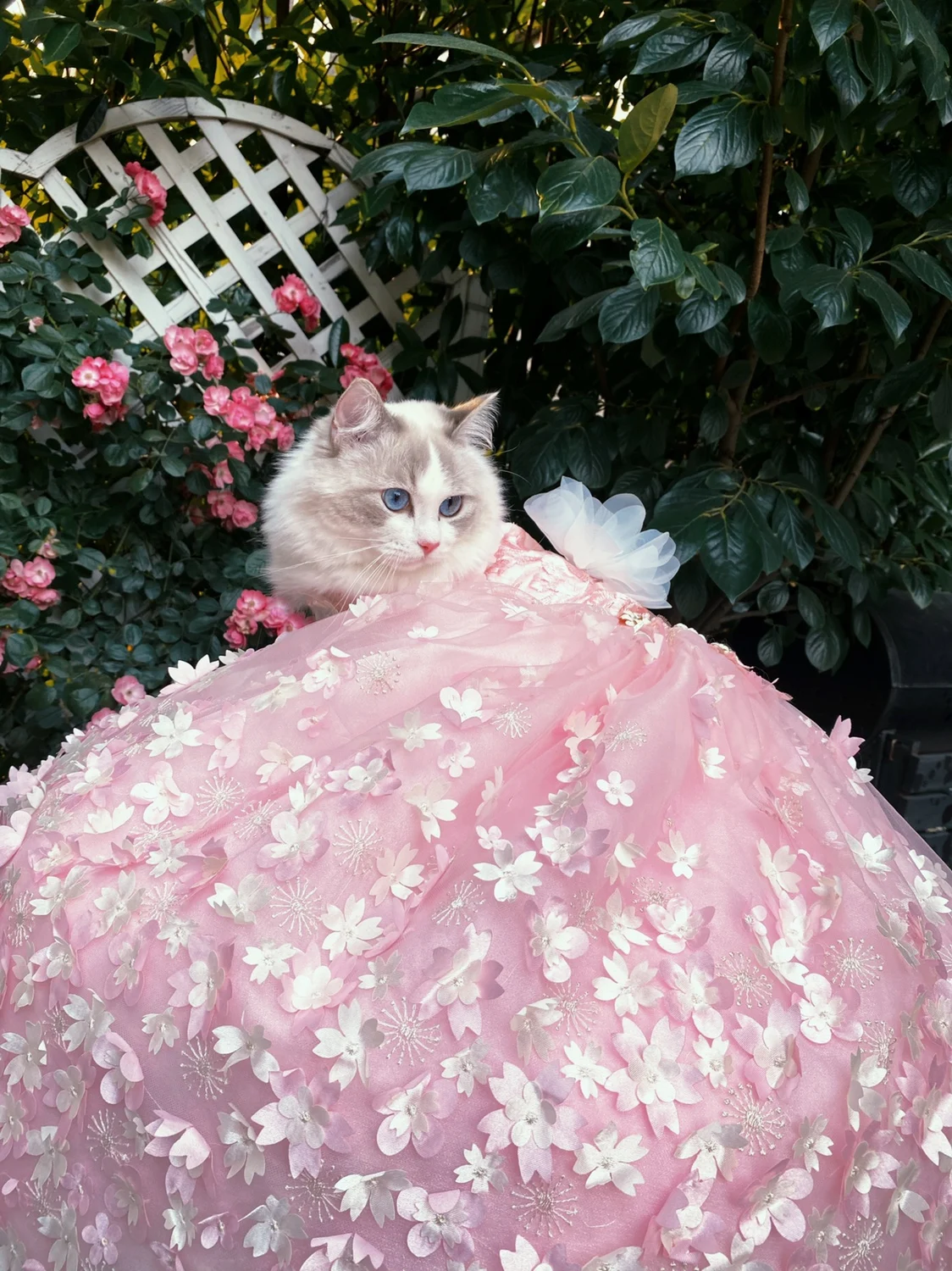 リバティ　ハンドメイド　スモッキングワンピース　刺繍　花柄　ピンク　犬服 リバティハンドメイドスモッキングワンピース刺繍花柄ピンク犬服