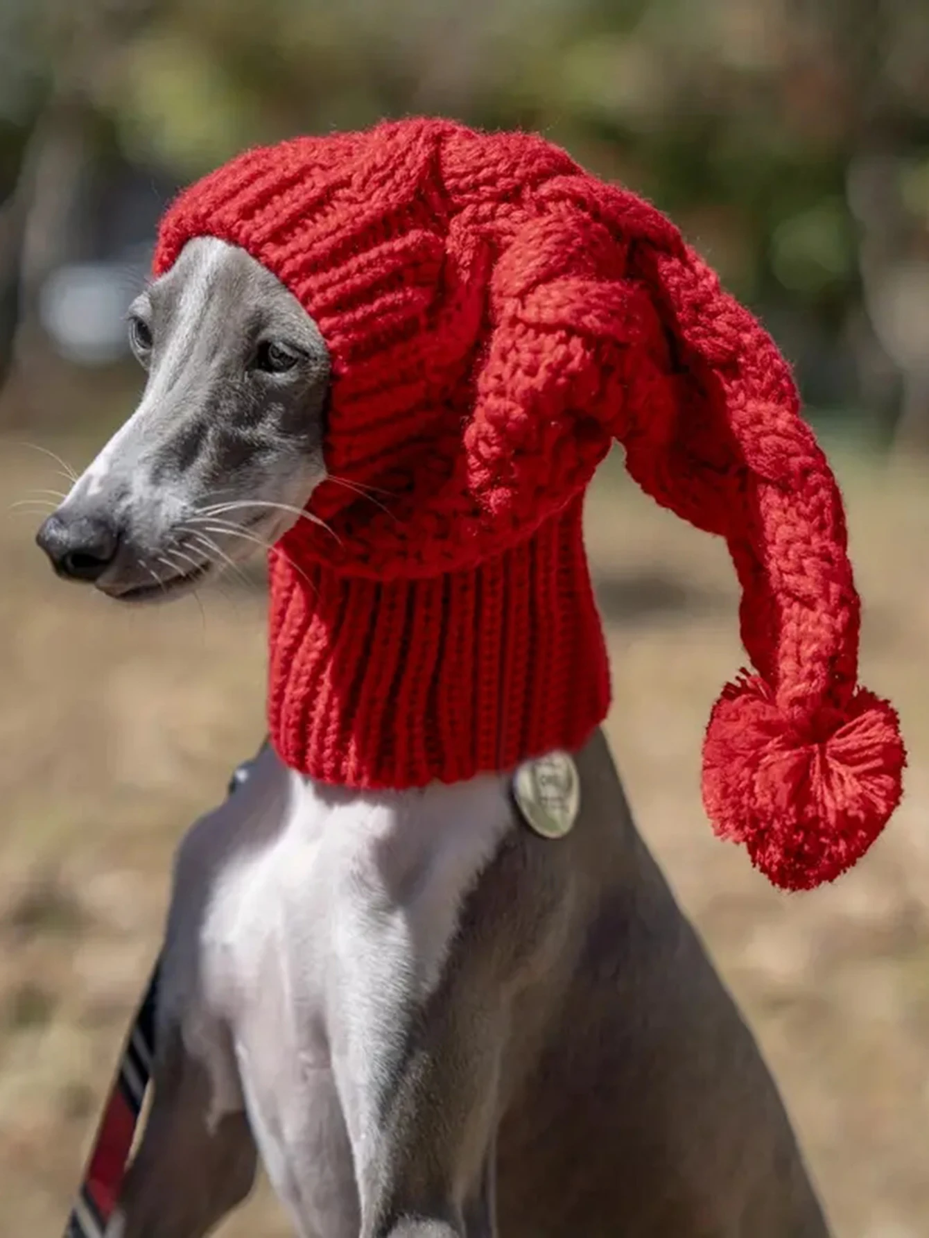 Hand-Knit Dog Snood 1
