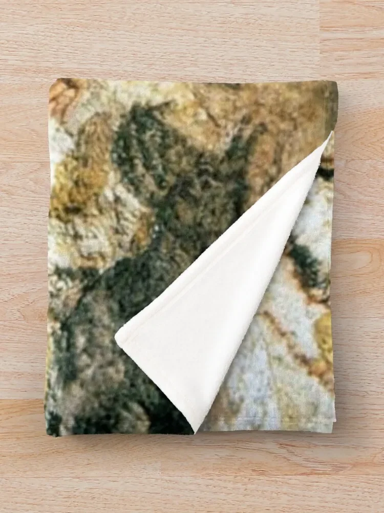 Paleolithic Lascaux ���� �׸�, �ܿ� ��並 ���� ������ ������ ���