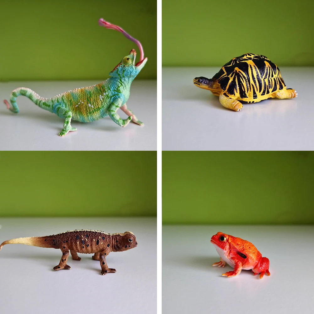 Toymany Simulation Fossa Madagaskar Tier Modell Spielzeug Mini Figuren Puppen Action Figuren Spielzeug Kinder Geschenk Kuchen Dekoration – Detail 14