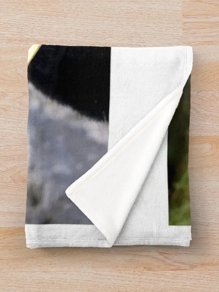 �� �Ҵ� ������ ���, �ܿ� ũ�������� ���, ǫ���� ���