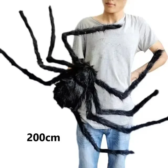 200cm