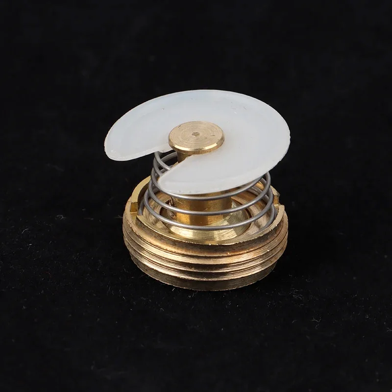 5PCS Gas Water Heater Brass Control Valve Cap Cover Accessories Water And Gas Linkage Valve Regulator Core Big Type Kitchen Part