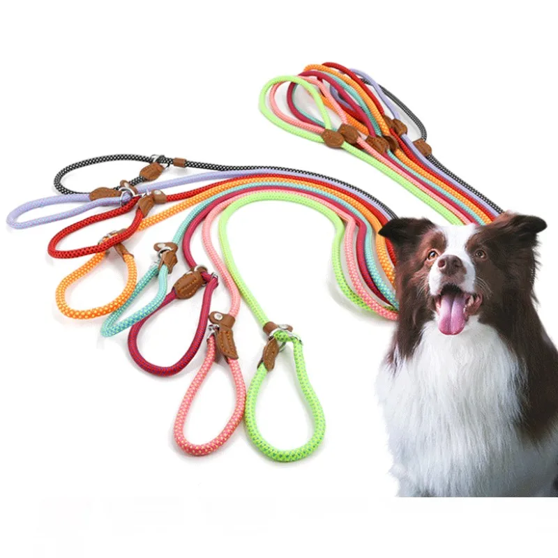 

Dog Leash P Chain Collar Leashes Dogs Chain Anti Loss P-ropes Collar for Dog Walking Dogs Leash Puppy Training Rope Pet Supplies