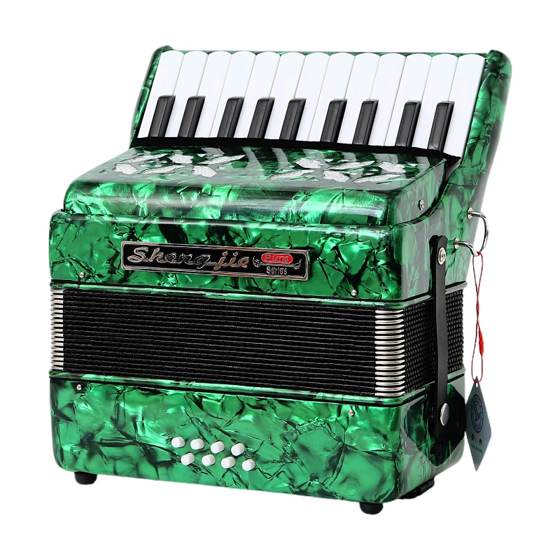 Fisarmonica 17 Tasti 8 Bassi | In Celluloide E ABS | Per Principianti | Leggera E Portatile - Foto 2