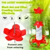 Hummingbird Water Feeder Hanging Honey Water Bird Feeder Anti-ants Leakproof Easy To Clean Outdoor Garden Decoration 4