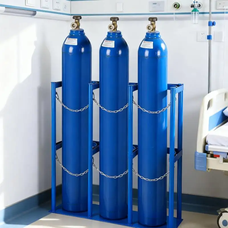 40L Gas Cylinder Organizer Shelf with Protective Chain Oxygen Tank Holder Storage Rack Frame Metal Gas Cylinder Fixing Bracket