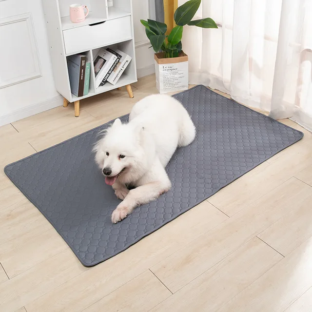 Dog Pee Pad Blanket Reusable Highly Absorbent Diaper Washable Puppy Training Pad Pet Bed Urine Mat for Pet Car Seat Cover 3