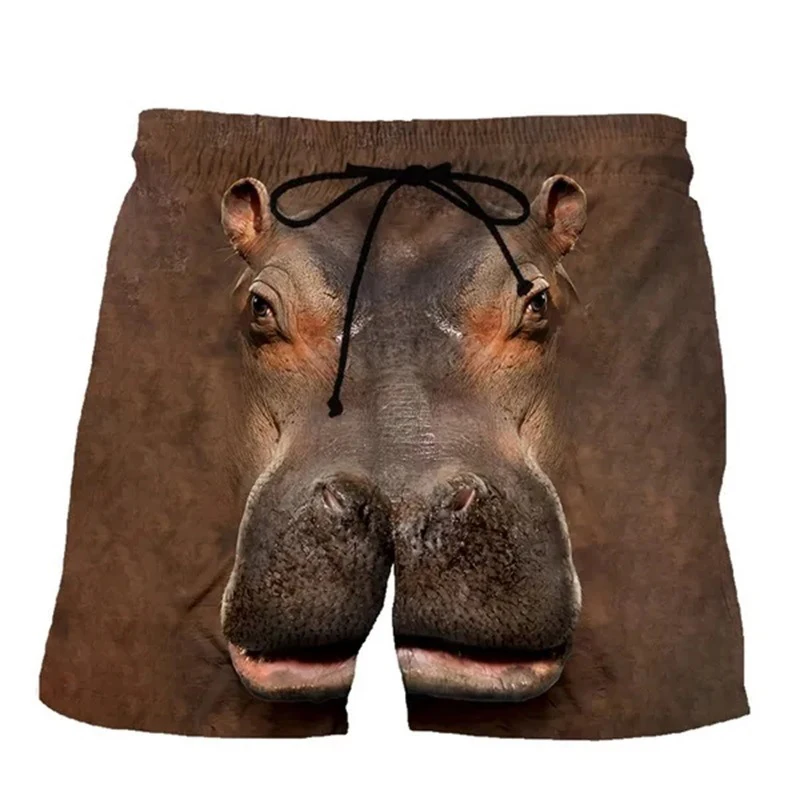 New Funny Animals Dog Hawaiian Beach Shorts Cute Pets 3D Print Men Surfing Board Shorts Oversized Swimwear Trunks Kids Clothing 4