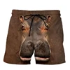New Funny Animals Dog Hawaiian Beach Shorts Cute Pets 3D Print Men Surfing Board Shorts Oversized Swimwear Trunks Kids Clothing 4