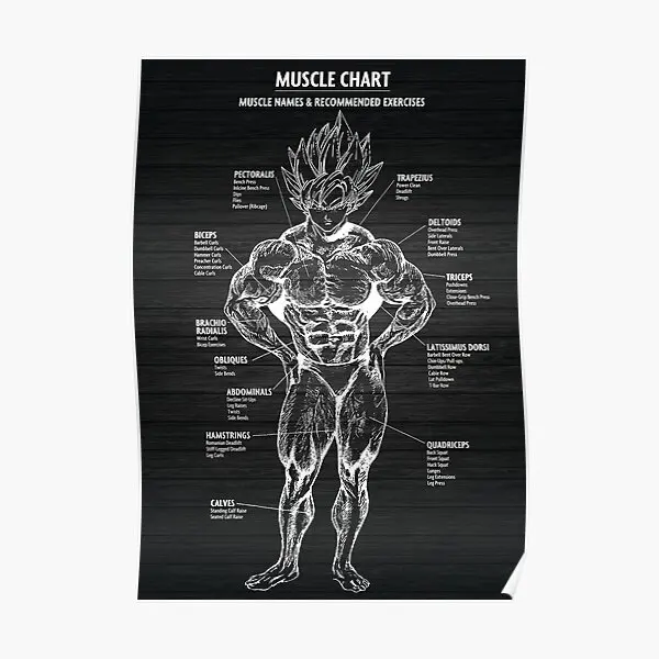 

Анатомическая схема мышц, плакат аниме G, украшение комнаты, забавная картина, Настенная печать, домашнее настенное искусство, винтажный Современный без рамки
