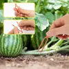 Plant Fixing Clips Plastic Farming Fork for Stolon Fixing  Fastening Fixture Garden Strawberry Seedling Tomato Support Tools 5