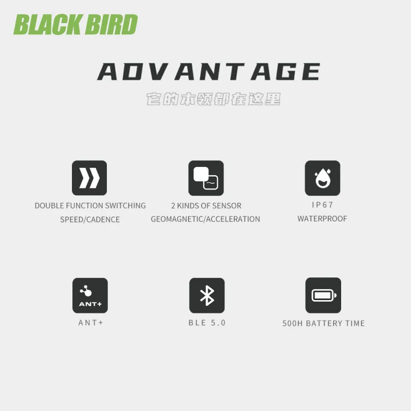 BLACKBIRD CS1 ӵ ̴  ANT +  ǻ ӵ,   Ŭ ׼, ɹڼ  ȣȯ