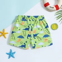 Hedgehog Bathing Suit Toddler Kids Infant Baby Boys Summer Print Shorts Beach Swimwear Swimming Trunks Boys Bathing Suits Size 8 5