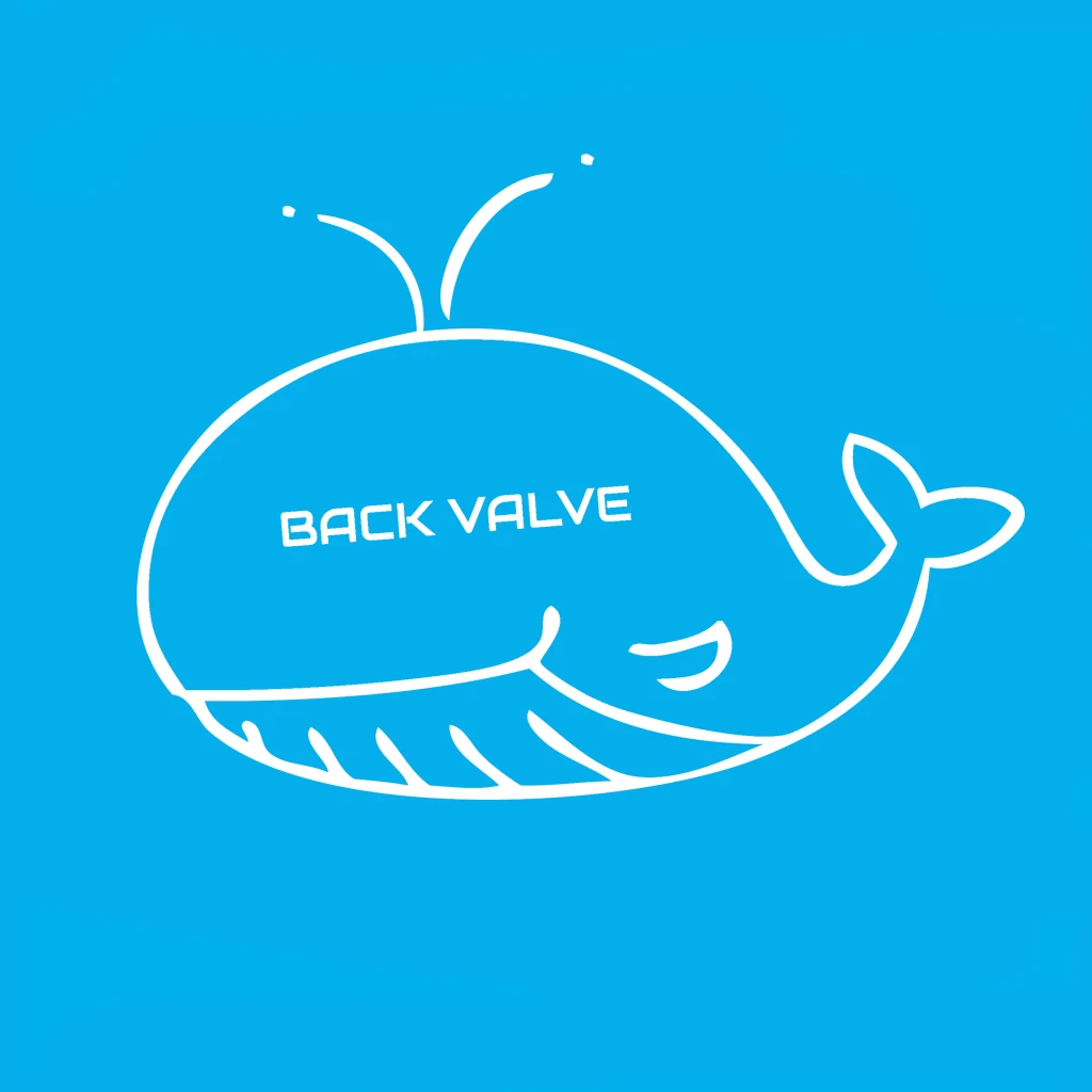 Back Valve International Store