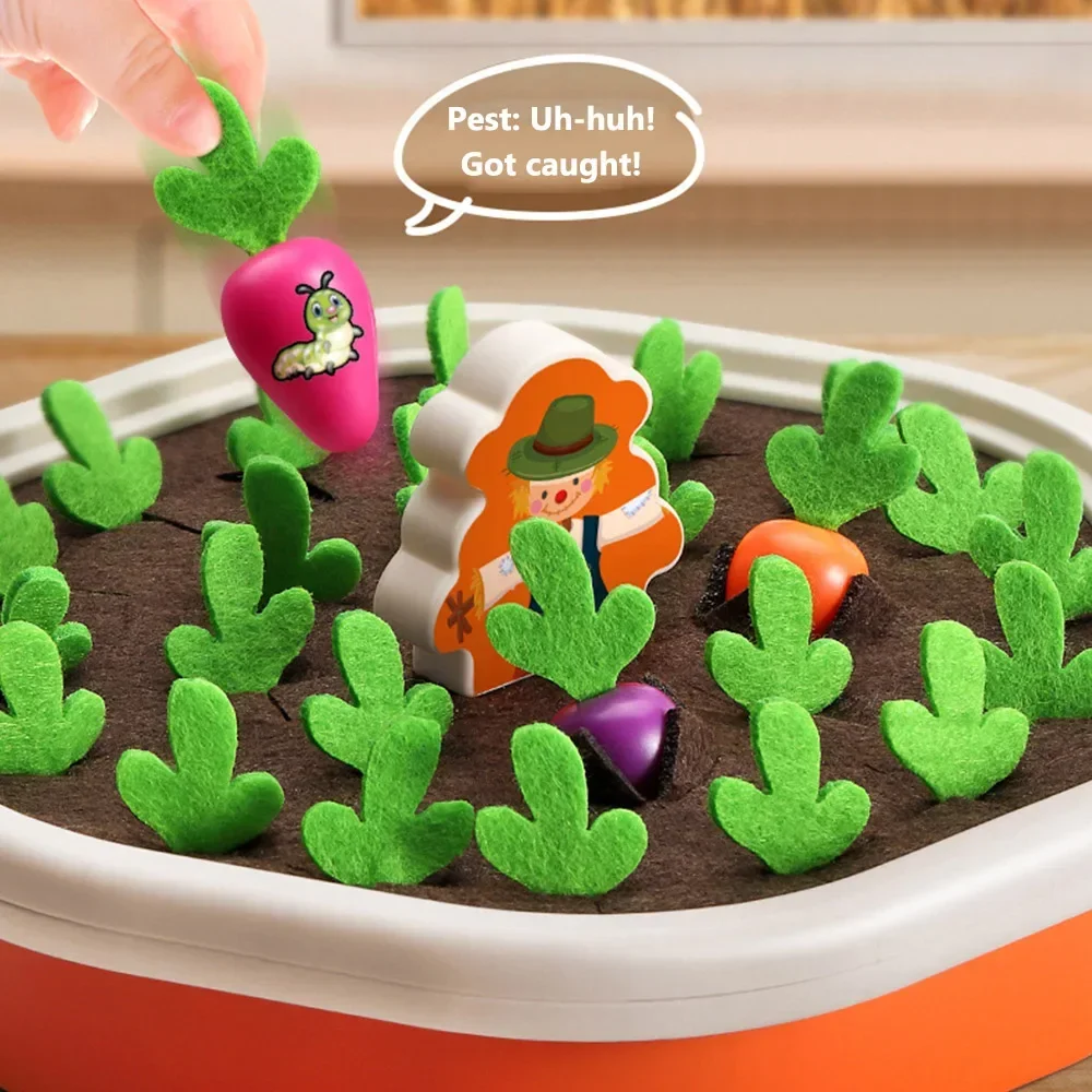 Carrot Sorting Toy 4