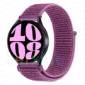 Dragon Fruit 41