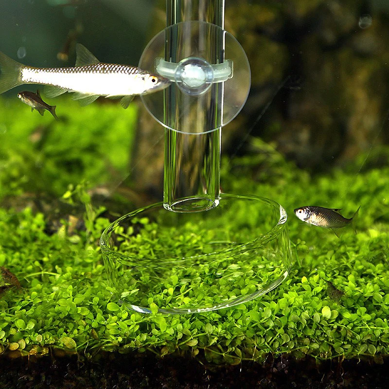 Aquarium Feeding Tube Dish Clear Glass Fish Tank Shrimp Snail Food Feeder Bowl Aquarium Feeding Tool Accessories