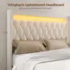 Queen Bed Frame with LED Light and Charging Station, Upholstered High Headboard and Footboard, Wood Slats, Noise Free 5