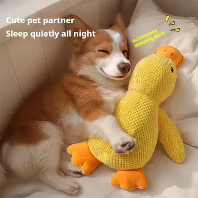 Hot dog sleeping with duck toys to relieve boredom of little yellow duck pet puppy interactive plush doll hug duck 2