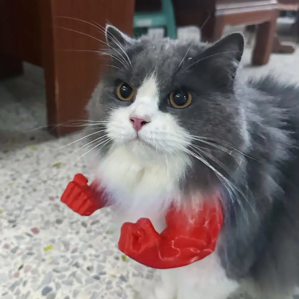 Costume Bras Musclés Pour Chat - Impression 3D, Cosplay Humoristique, Fêtes Et Photos Drôles - 8