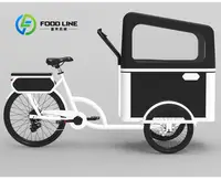 Vélo cargo à pédale électrique à 3 roues avec moteur arrière pour transporter des vélos électriques pour animaux de compagnie 2