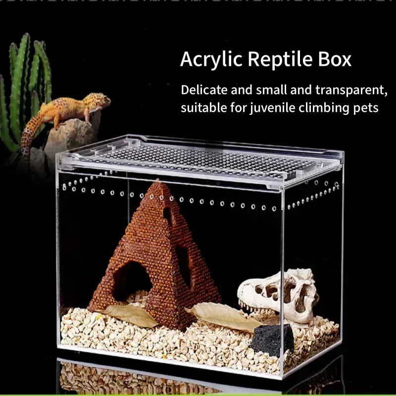 Reptile Habitat Terrarium Breeding Box Transparent Acrylic Leak-proof Cage Insect Feeding