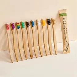 Colorful Portable Reusable Bamboo Toothbrush Set - Eco - Friendly for Home and Travel (10 Pack) (10PCS Colorful)