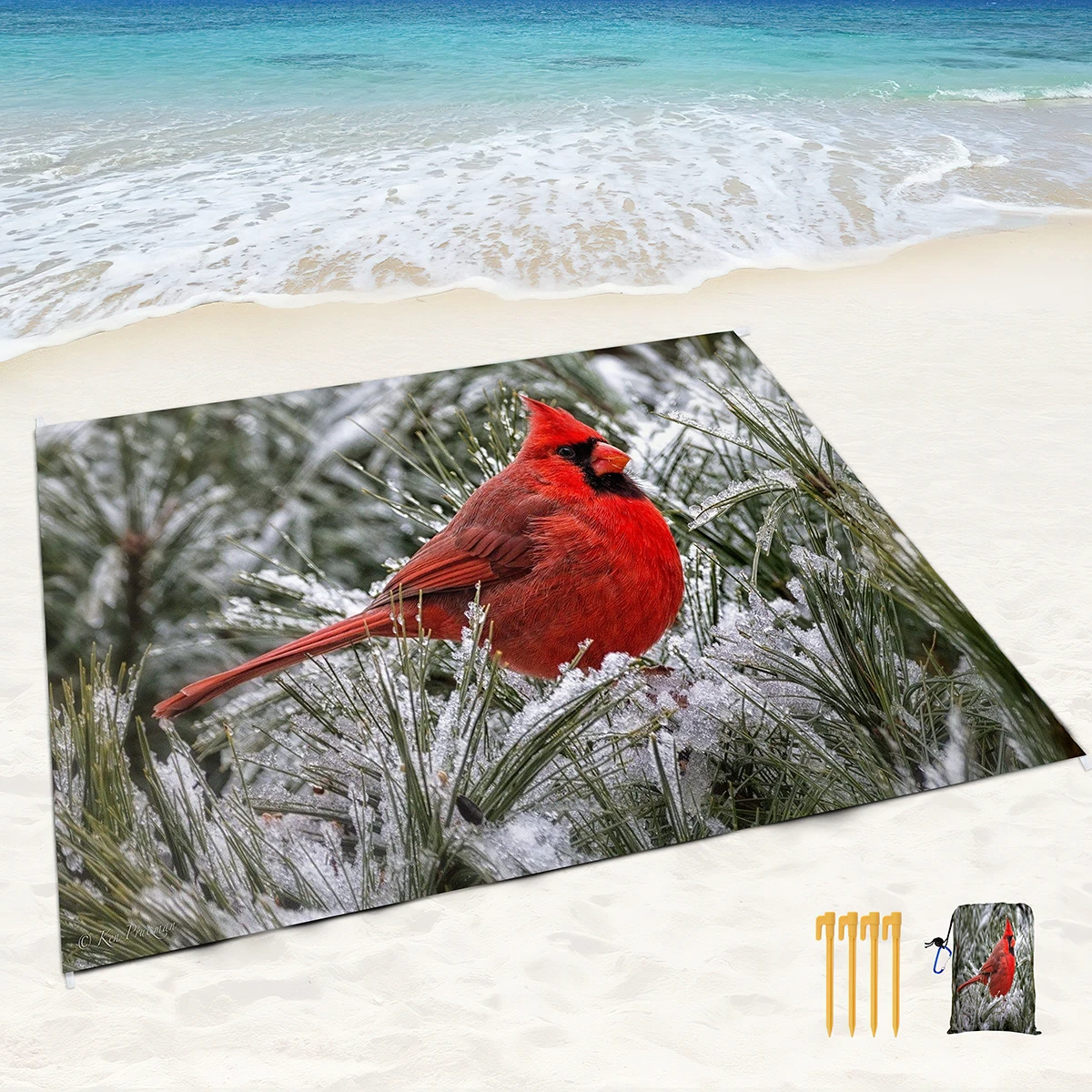 ���� ����Ʈ ��ġ ���, ���, �� ����, �淮, �޴�� ��ũ�� ���, ����, ķ��, �ް�, �غ���