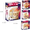 4D Master Puzzle Human Hody Organ Anatomical Model Assembling Toy Medical Teaching Model Biological Educational Toys 1