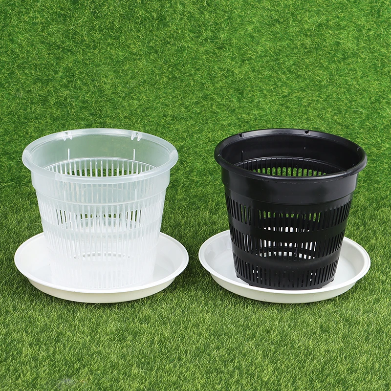 Vasi per orchidee in plastica trasparente Meshpot con fori e