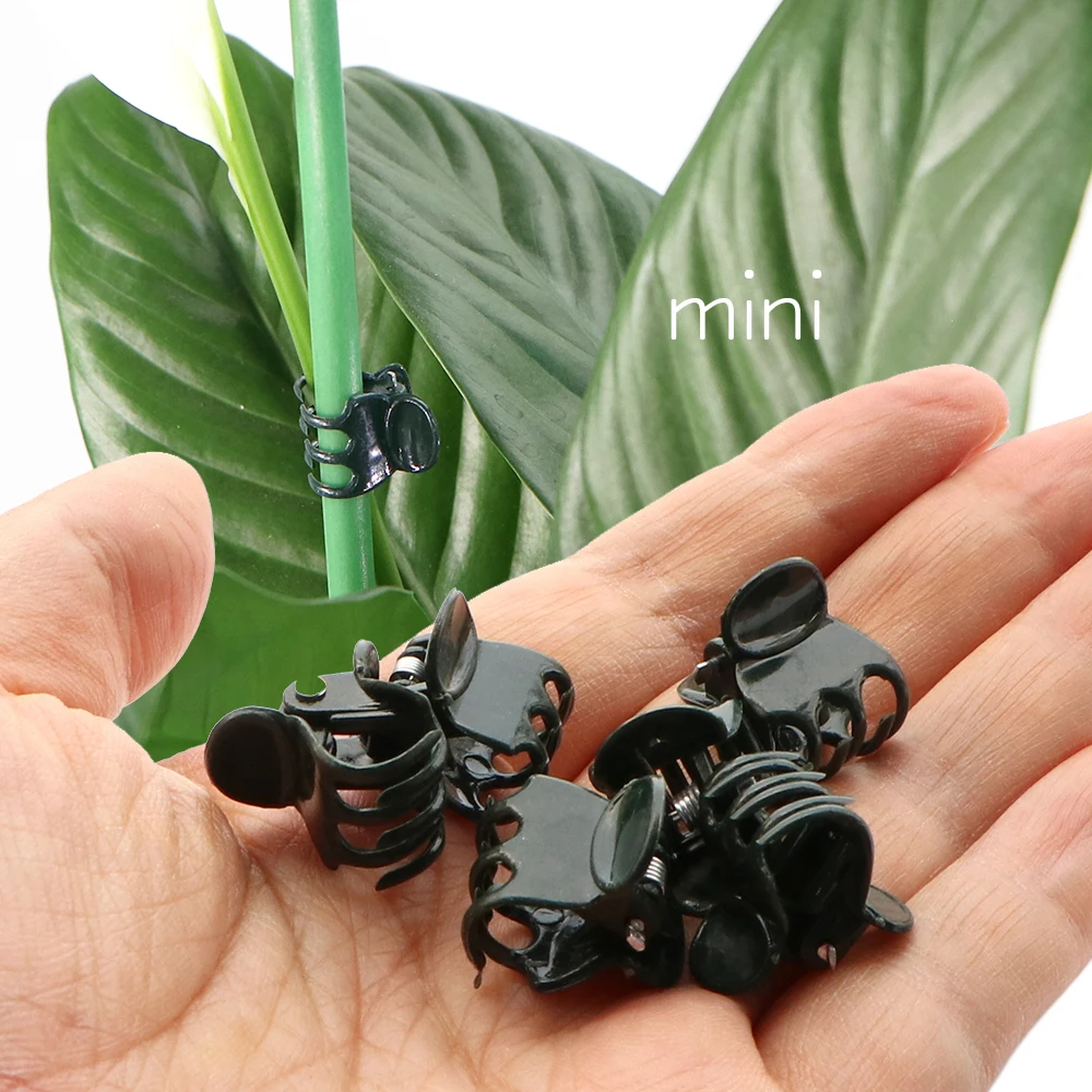 Dark Green Plant Clips - 6-Claw Climbing Stem Support Bundle