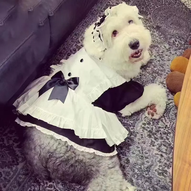 Summer Dog Dress Costume 4