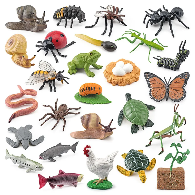 Animal Life Cycle Board Children Toy Montessori Teaching Aids Plant Animal Growth Cycle Model Set preschool cognitive Toys 3