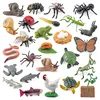 Animal Life Cycle Board Children Toy Montessori Teaching Aids Plant Animal Growth Cycle Model Set preschool cognitive Toys 3