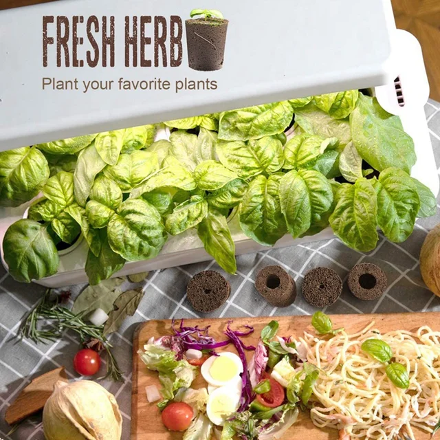 Növénytermesztés Szivacsok Kerti Hidroponikus Beltéri Intelligens Szivacs Tápanyagokkal, Csere Nő - Image 5
